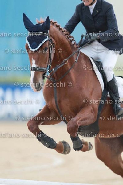 PECCHIO_NEMESI_GIO CAV 2011_SS3_8729.jpg